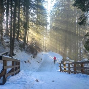 Meet your Posher, Em